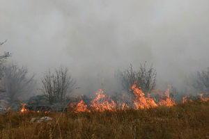 I DALJE GORI KOD MRKONJIĆ GRADA: Vatrogasci se borili sa vatrom celu noć, požar se širi ka seoskim kućama