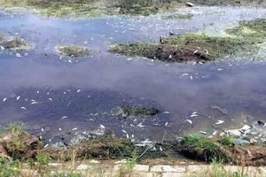 EKOLOŠKA KATASTROFA KOD LEBANA: Rudnik isušio reku Jablanicu i izazvao pomor ribe