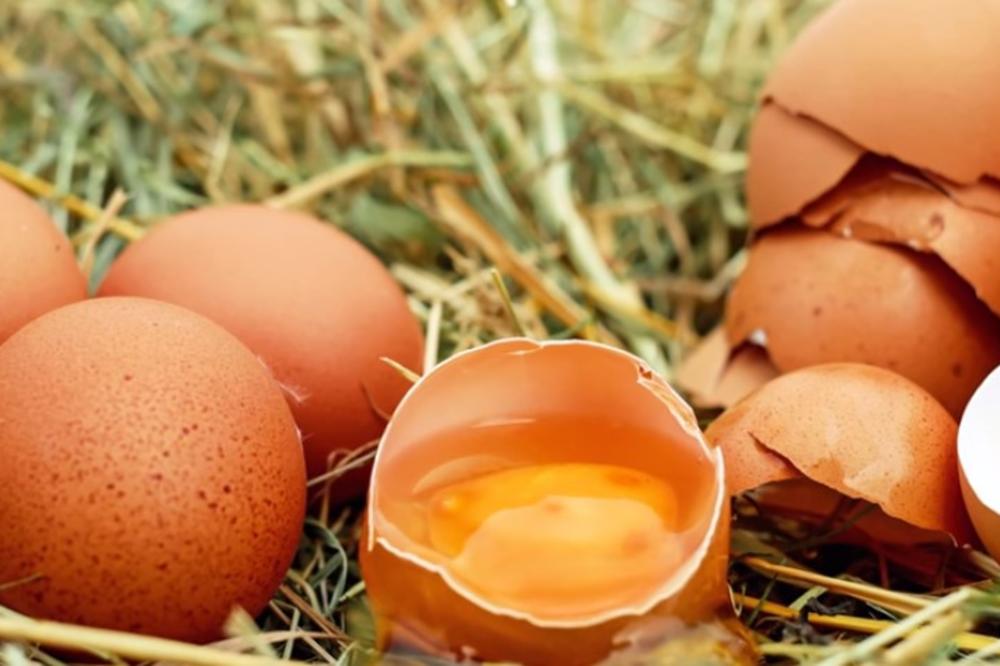(VIDEO) POTVRĐENE SUMNJE: U Austriji otkrivena jaja zaražena insekticidima!