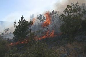 HERCEGOVINA SE BORI SA VATROM: Aktivna 3 požara, gašenje otežavaju nepristupačni tereni!