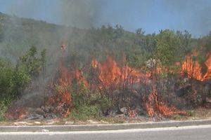 (VIDEO) HERCEGOVINA OPET U PLAMENU: Vetar otežava gašenje požara, vatra krenula ka kućama
