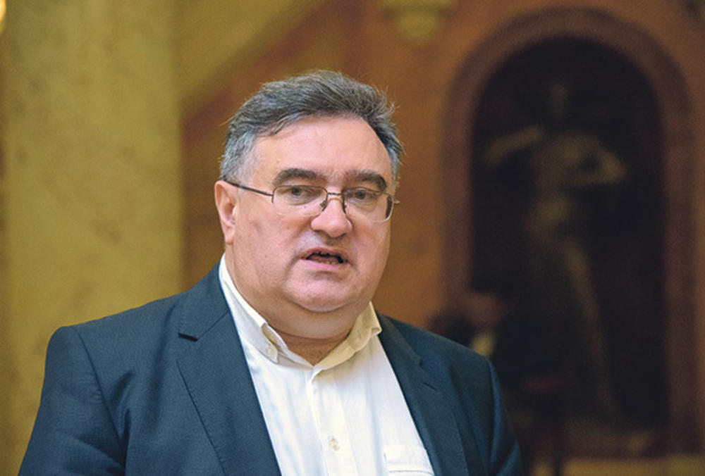Kragujevac, SNS, Radomir Nikolić, izbori, mesne zajednice, stranka, Đorđe Vukadinović