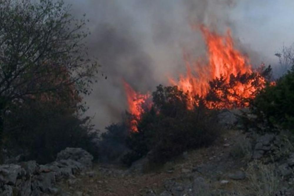 BUKTE POŽARI U TOPLICI: Vatrogasci se bore sa stihijom, vetar otežava