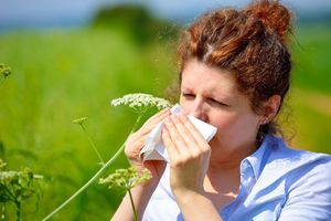 SAVETI ZLATA VREDNI: 10 načina da sprečite alergiju na ambroziju!