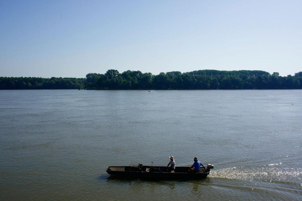 NESREĆA KOD BAČKE PALANKE: Muškarac nestao u vodi dok se kupao u Dunavu