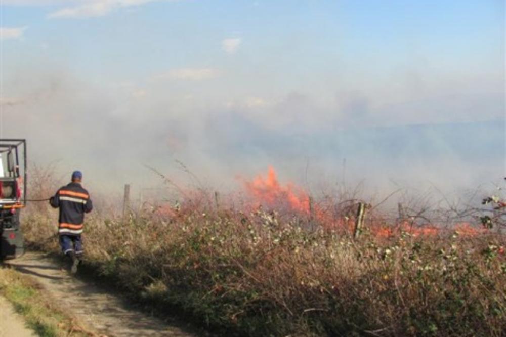 POŽAR KOD LESKOVCA: Gore vinogradi, vatrogasci pokušavaju da ugase vatru