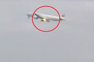 (VIDEO) PTICA NAPRAVILA HAOS! BOING SA 230 PUTNIKA MORAO PRINUDNO DA SLETI: Čuli smo pet pucnjeva i avion je počeo da se trese!
