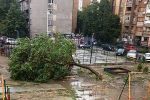 (VIDEO) LESKOVAČKA IRMA: Olujno nevreme protutnjalo Leskovcem, vetar nosio kontejnere i čupao drveće iz korena