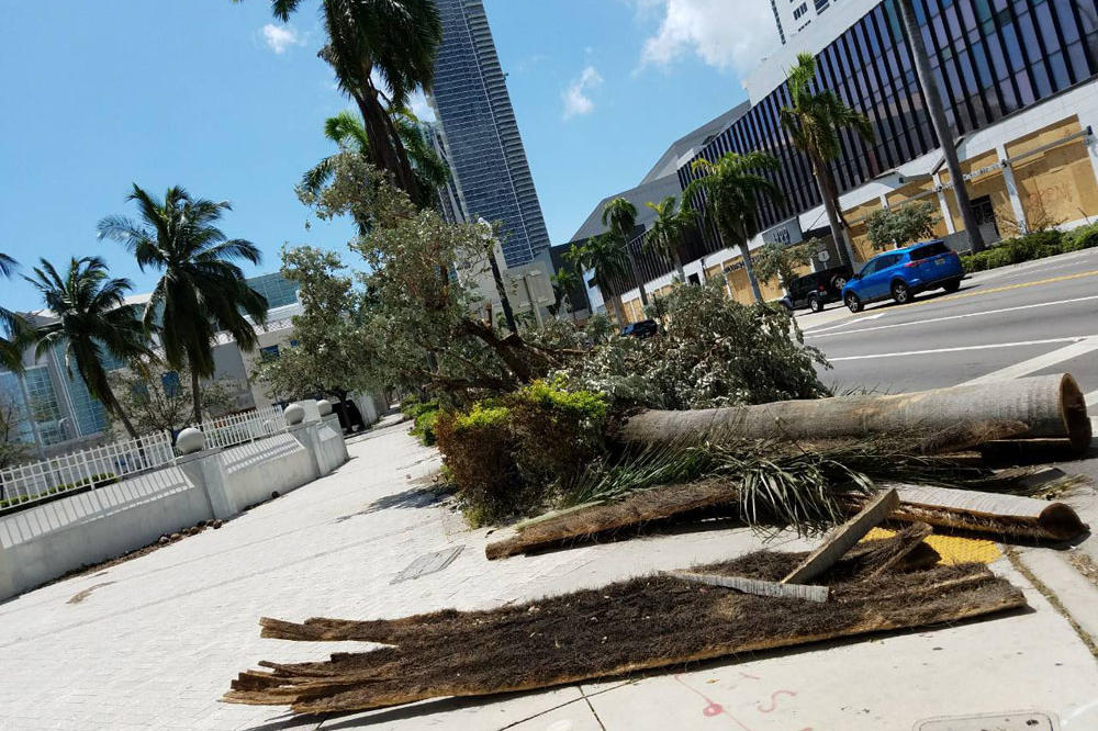 EKSKLUZIVNO ZA KURIR! DO SADA NEVIĐENE FOTOGRAFIJE PUSTOŠENJA IRME: Srpkinja iz Majamija snimila neverovatne scene po gradu nakon uragana