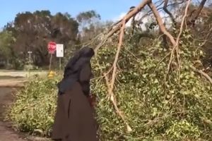 (VIDEO) NAJVEĆI HIT POSLE URAGANA IRMA: Snimak časne sestre koja motornom testerom krči puteve oduševio sve