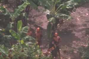 MASAKR U AMAZONU: Pobili pleme koje se skrivalo od sveta vekovima