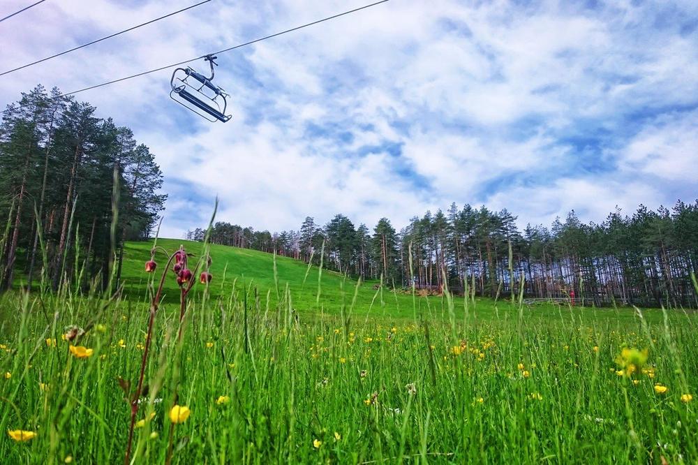 ZABRANJENI RADOVI NA PLANINI: Vlada proglasila Zlatibor Parkom prirode