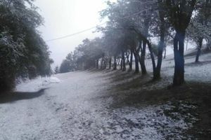 PADAVINE DONELE PROBLEME: Sneg zavejao delove Srbije, mnogi bez struje