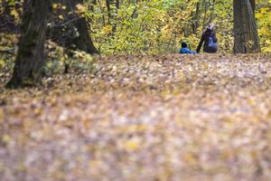 NOVA NEDELJA OSVANULA U ZNAKU PRAVE JESENI: Ponedeljak širom Srbije tmuran i hladan, kišobrani potrebni samo ujutru