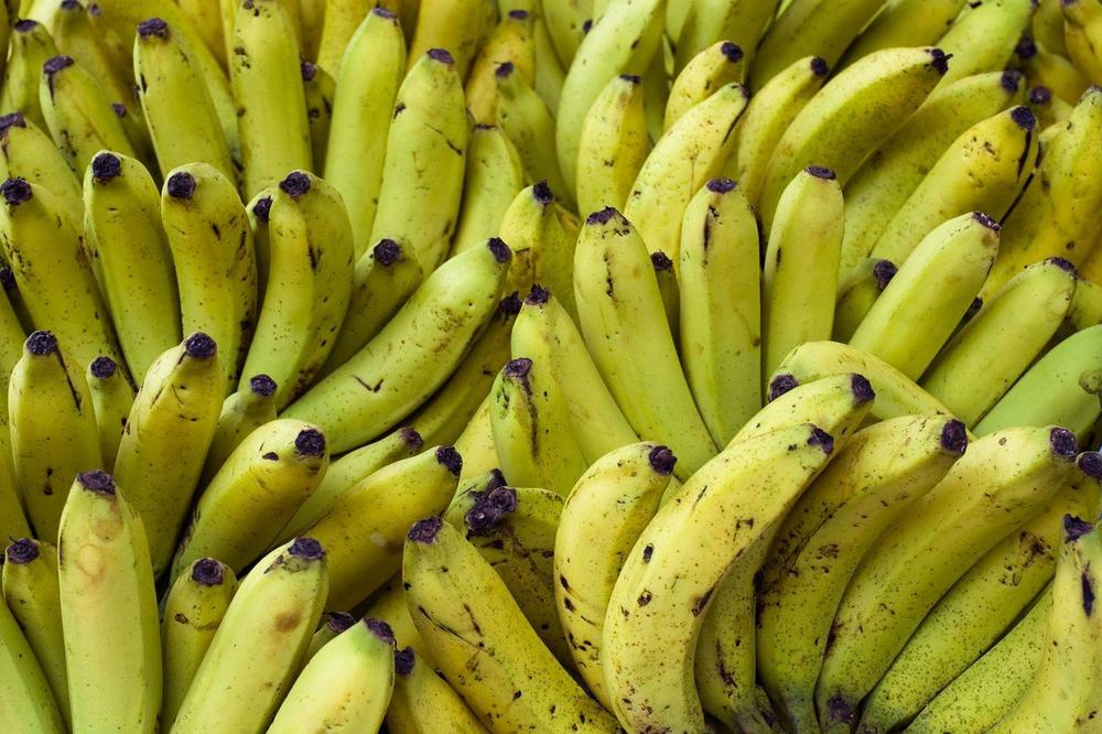 REKORDNA ZAPLENA DROGE U NEMAČKOJ: U paketima banana pronašli kokain vredan 25 MILIONA EVRA
