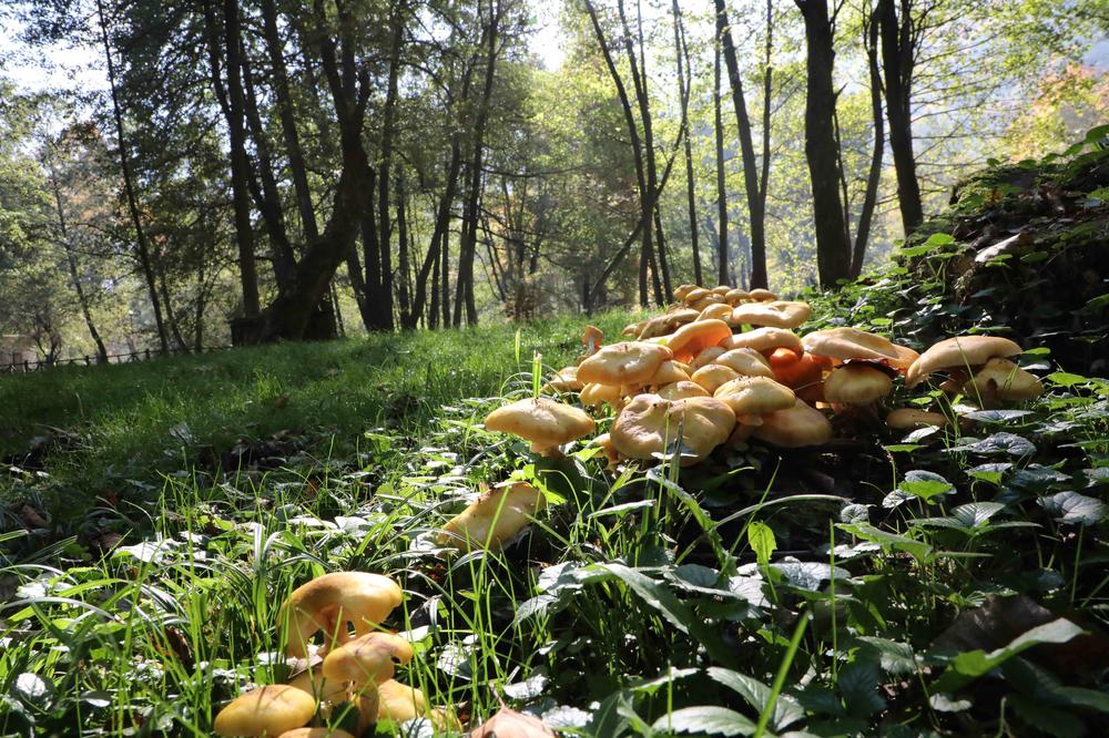 ČAS TOPLO, ČAS HLADNO: Danas sunčano i do 18 stepeni! Uživajte, večeras stiže naoblačenje