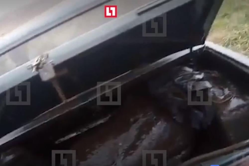 (UZNEMIRUJUĆI VIDEO) UBIO BRATA ZBOG ŽENE: Stavio leš u gepek lade, pa gurnuo kola u reku!
