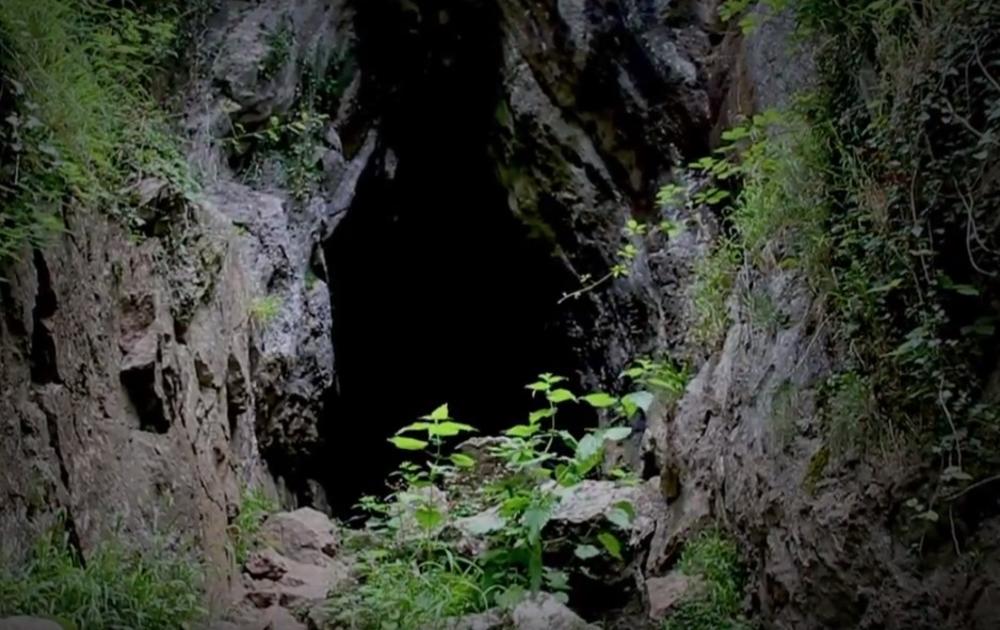 NEVEROVATNO OTKRIĆE NAUČNIKA, OVO NIKAD NIJE VIĐENO: Pećina na istoku Srbije krila providno stvorenje, evo šta su otkrili (FOTO)