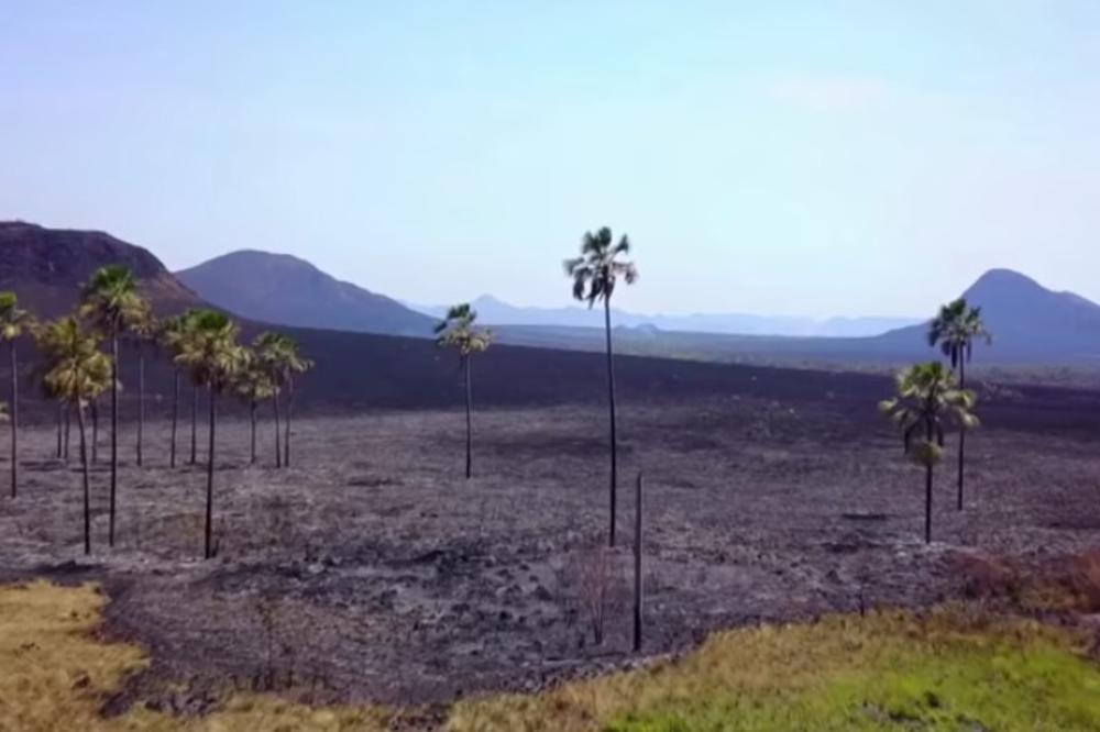 (VIDEO) JEZIVI PRIZORI IZ BRAZILA: Požar besni 20 dana, nacionalni park pretvoren u pepeo!
