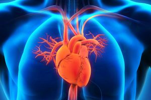 OVO LEKOVITO VOĆE SNIŽAVA KRVNI PRITISAK: Evo kako na prirodan način sprečiti srčani i moždani udar