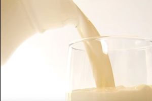 EVROPSKA KOMISIJA ODLUČILA: BiH može da izvozi sve vrste mleka u EU