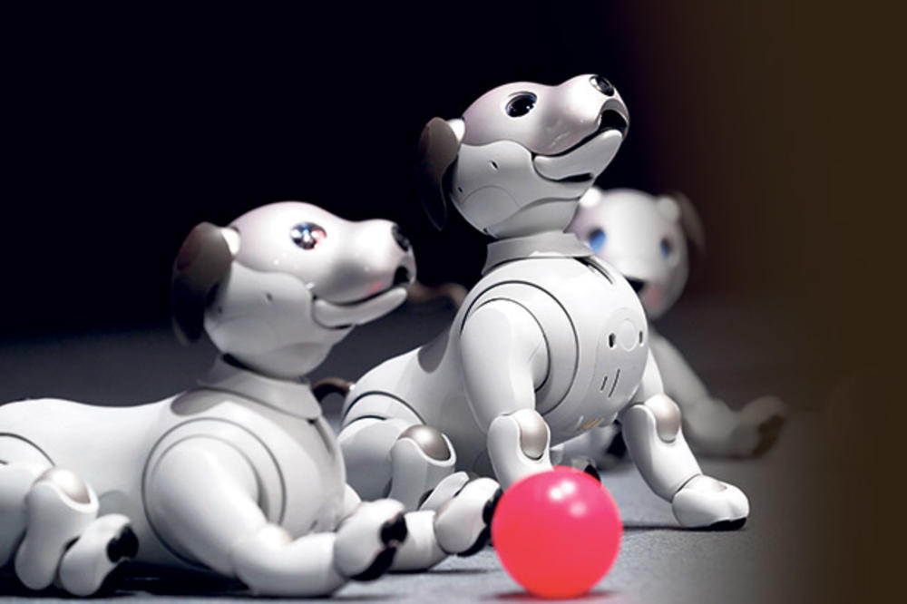EMOCIJE: Robot pas koji uči da voli ljude