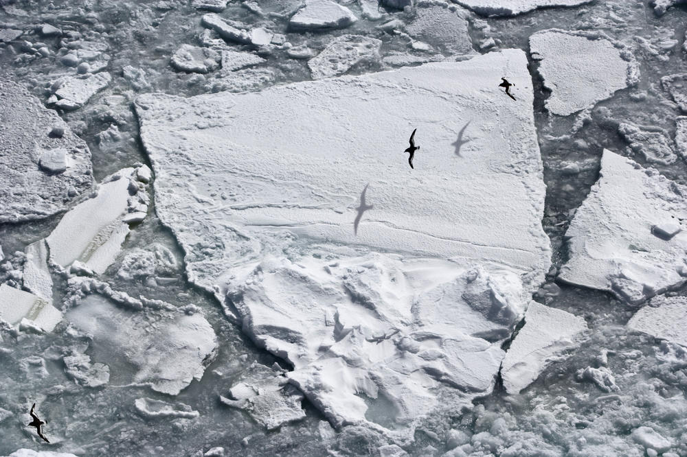 VELIKO OTKRIĆE NAUČNIKA: Antarktik ispod snega skriva nešto zaista impresivno
