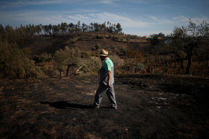 CRNI ISTORIJSKI REKORD: Požari u Portugalu uništili 442.000 hektara vegetacije