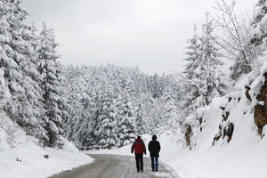 PRIBOJ: 350 potrošača još bez struje zbog snega