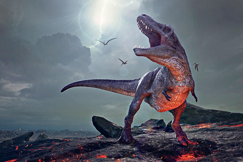 (FOTO) VELIKO OTKRIĆE U ŠKOTSKOJ: Na ostrvu Skaj pronađeni otisci dinosaurusa stari 170 miliona godina