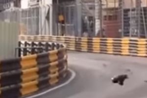 (UZNEMIRIJUĆI VIDEO) UKLETA STAZA: Dan pre pogibije motocikliste na trci u Makau, automobilisti preživeli karambol