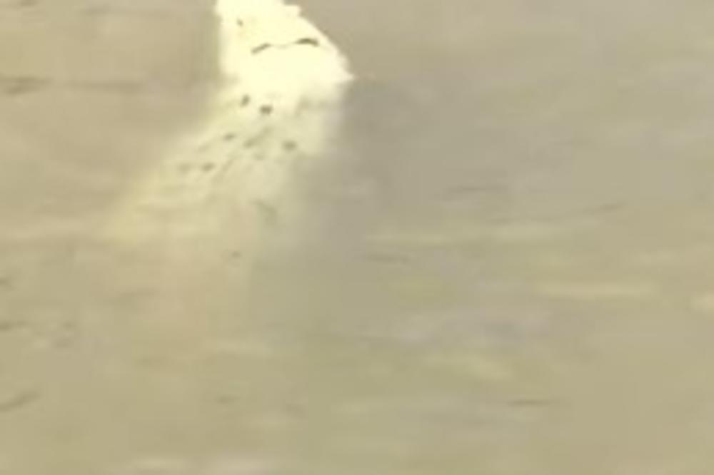 (VIDEO) TURISTI NAIŠLI NA IZNENAĐENJE: Kamere snimile belog krokodila dugog tri metra, a već ima i nadimak!