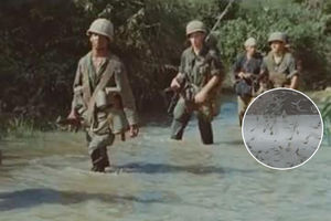 (VIDEO) TIHI UBICA: Vijetnamske veterane ubija misteriozni parazit, umiru u jezivim mukama!