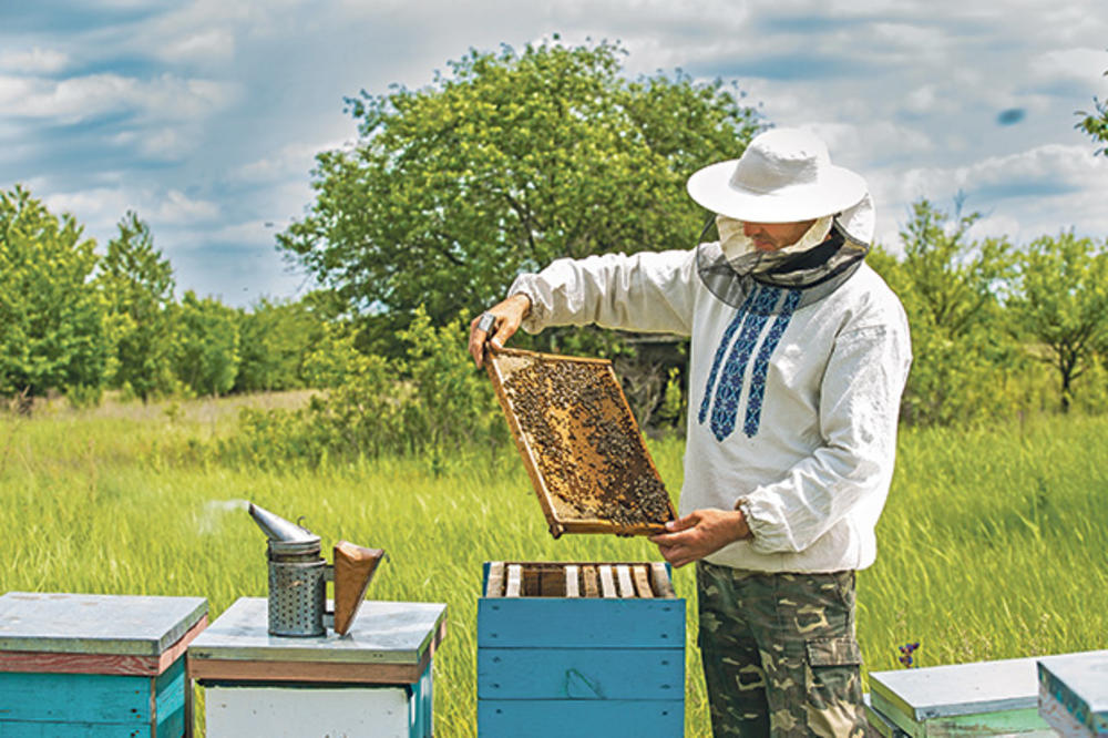 SLATKA ZARADA: Lackovići se bave pčelarstvom 100 godina