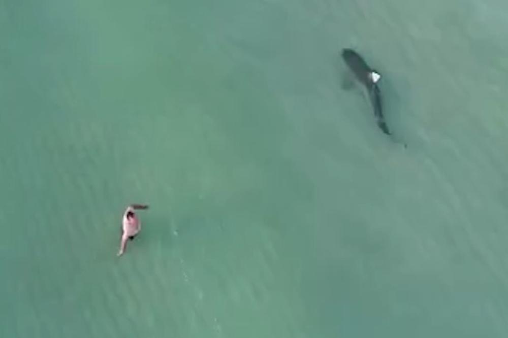 (VIDEO) Posle ovog videa, nećete više ulaziti u more!