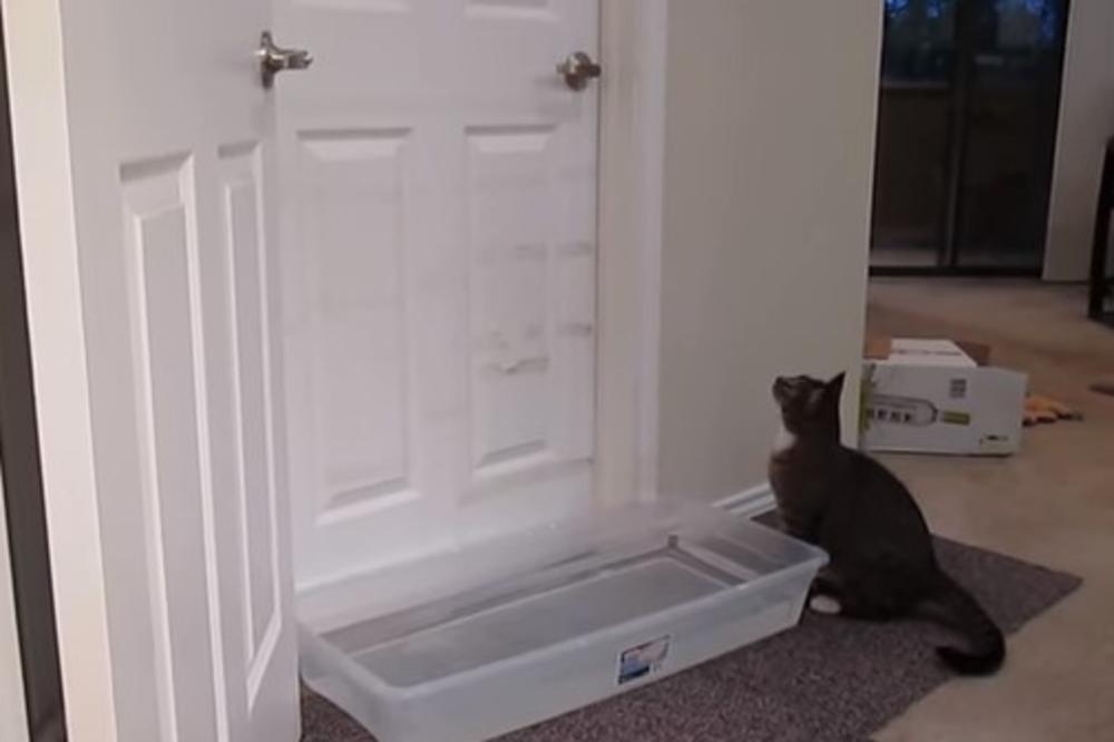 (VIDEO) OVOM SNIMKU SE DIVI VIŠE OD 22.000.000 LJUDI: Vlasnik je izbacio mačka iz sobe, a evo kako ga je životinja nadmudrila!