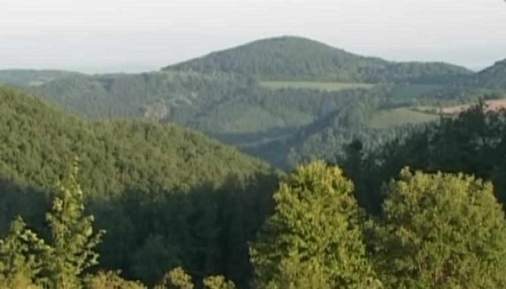 Planina Rudnik