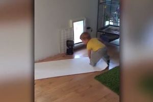 (VIDEO) PRESLATKO: Zaratili dečak i ukrasni papir!