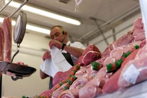 ZBOG AFRIČKE KUGE BLOKADA NA GRANICI: Srbija zabranila uvoz mesa iz Mađarske! INSPEKCIJA NA TERENU!