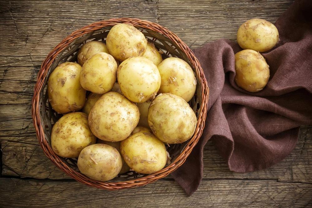 REVOLUCIJA U RUSIJI: U krajnje hladnom severu će moći da se uzgaja nova vrsta krompira!