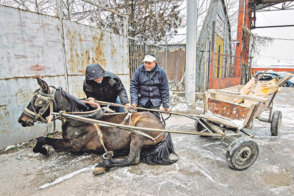 HIT: Sofija proteruje konjske zaprege