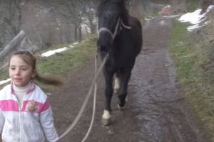 (VIDEO) IVANA (5) JE JEDINO DETE U SELU, MILJENICA SVIH MEŠTANA: Cepa drva i čuva stoku, a ovo je njena neostvarena želja!