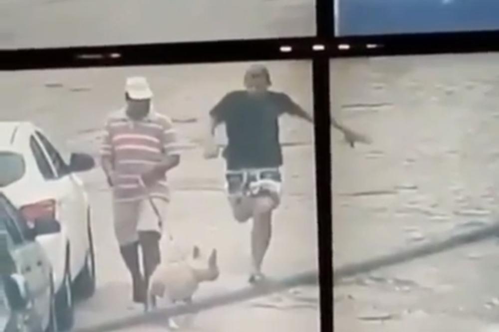 (VIDEO) PRAVEDNI PITBUL! Lopov umakao policajcima, ali ne i ovom psu!