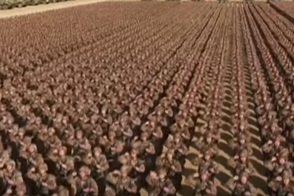 (VIDEO) OVAKO IZGLEDA KAD SE POSTROJI NAJVEĆA ARMIJA SVETA: 2 miliona vojnika se zaklelo na vernost vladaru!