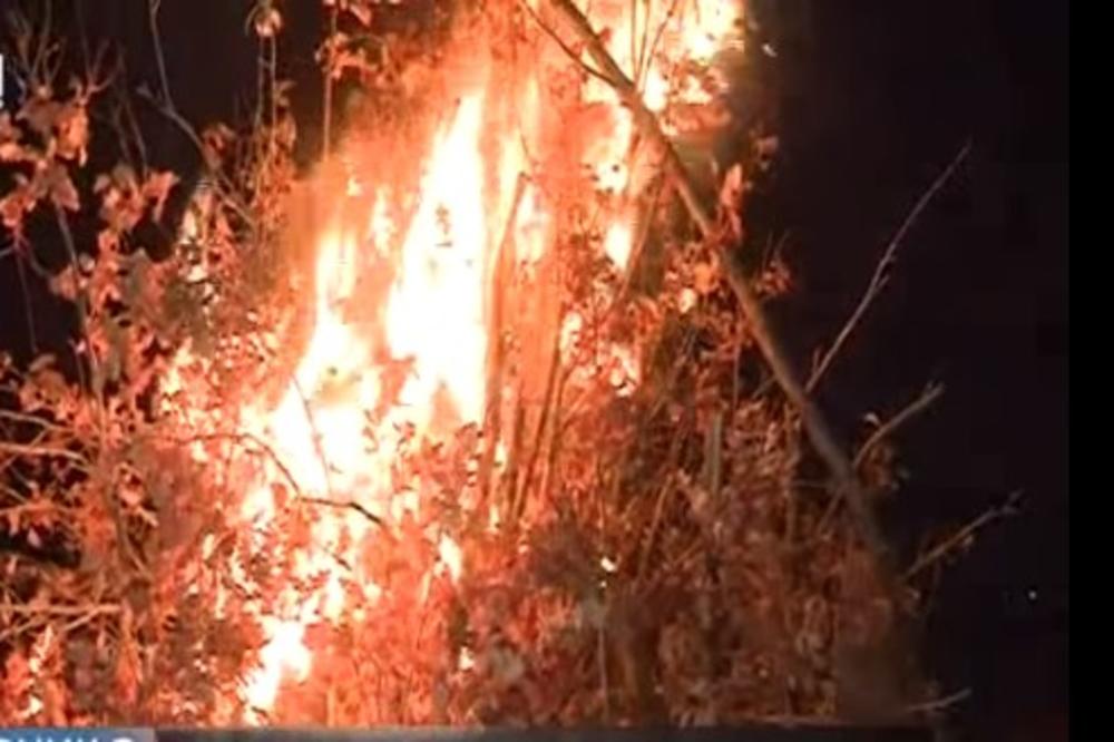 MAKEDONCI OVE GODINE NEĆE PALITI BADNJAKE: Muka ih naterala da odustanu od pravoslavnog običaja