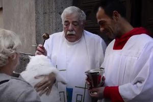 (VIDEO) PRAZNIK KUĆNIH LJUBIMACA: Sveštenici blagoslovili hiljade životinja u Madridu!
