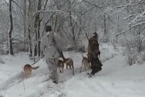 (VIDEO) BIZARNO UBISTVO U RUSIJI: Pas upucao lovca, nije mu bilo spasa