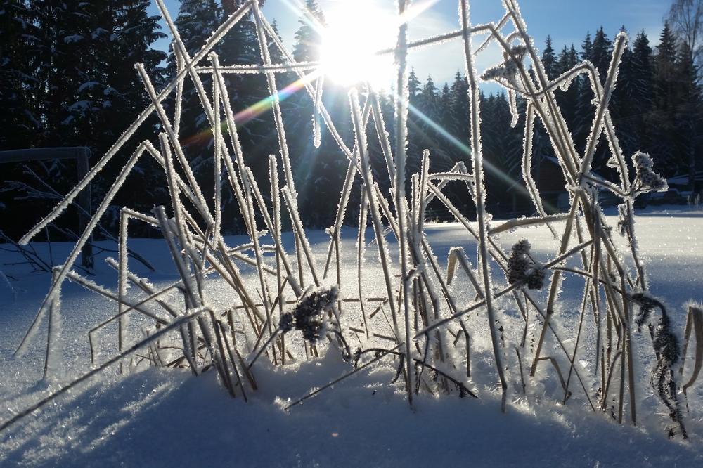 (FOTO) ČAROBNO LEDENO JUTRO NA PEŠTERU: U Sjenici minus 16, a na Zlatiboru 22 cm snega