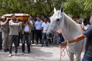 (VIDEO) MUKICA TUŽNA: Porodica povela konja na vlasnikovu sahranu, a njegova reakcija svima naterala suze na oči!