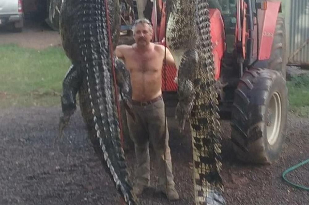 (FOTO) OVO SAMO U AUSTRALIJI MOŽE DA SE VIDI: Jedan čovek uspeo da uhvati dva OGROMNA krokodila, duži su od 4 metra!